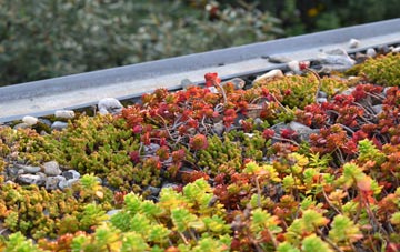the cost of Chapel Haddlesey green roof installation