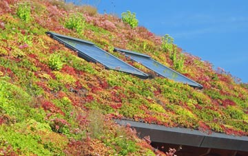 Chapel Haddlesey living roof systems