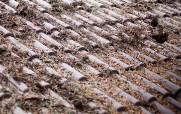 Chapel Haddlesey roof cleaning companies