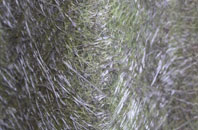 Chapel Haddlesey fibreglass roof work